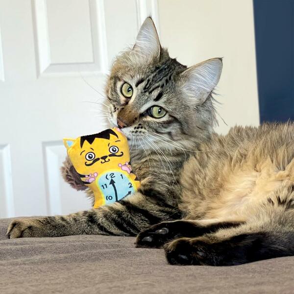 Kong Cat Artz Dali/van Gogh 2pk