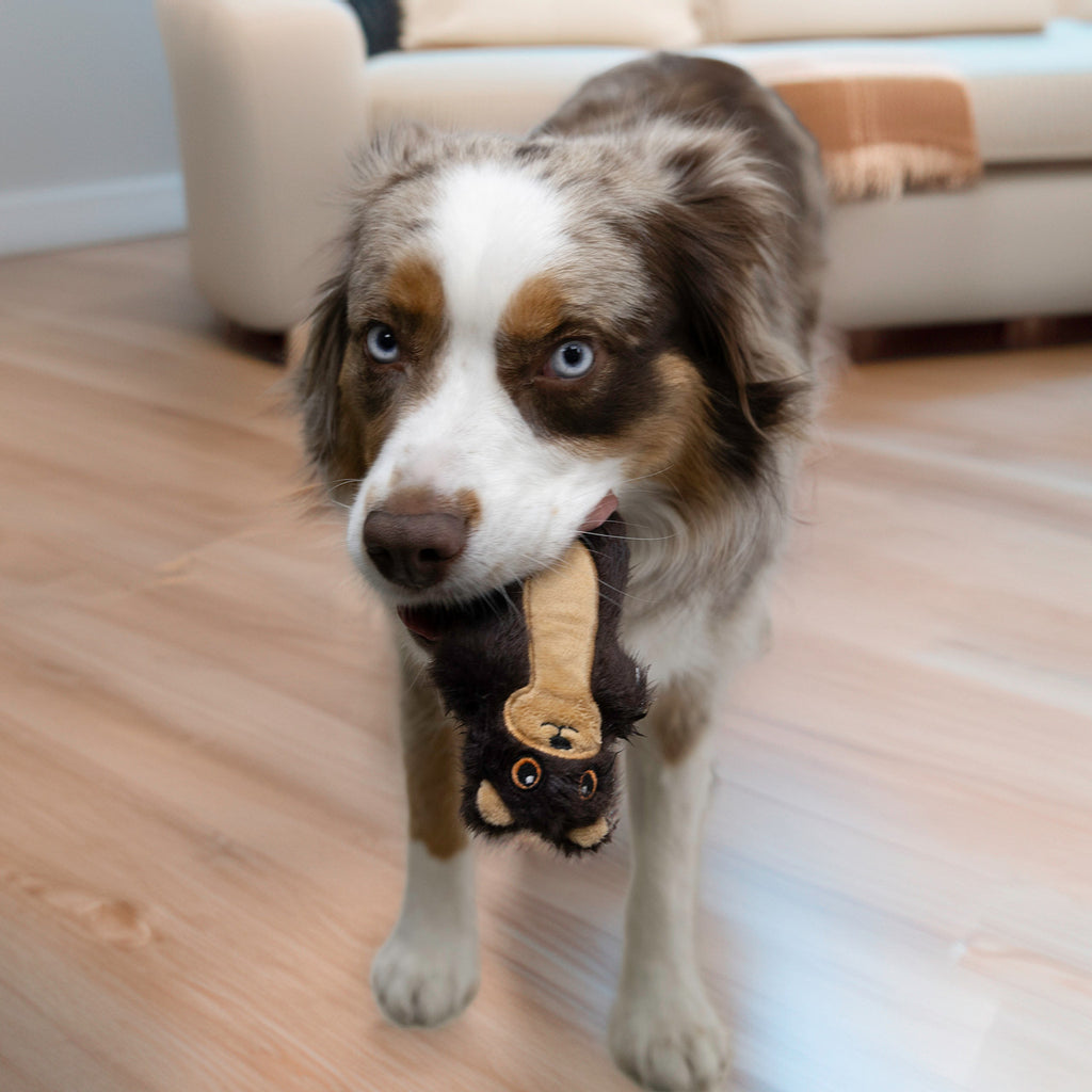 Kong Dog Snuzzles Mini Otter