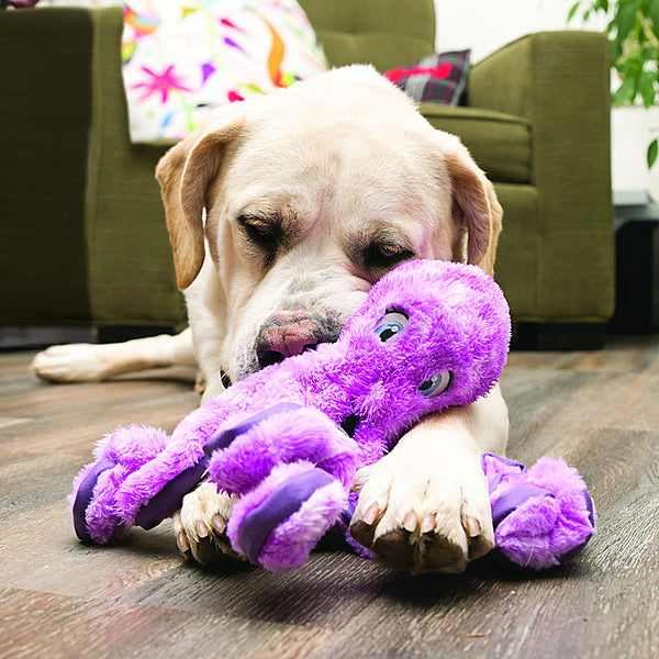 Kong Dog SoftSeas Octopus Small