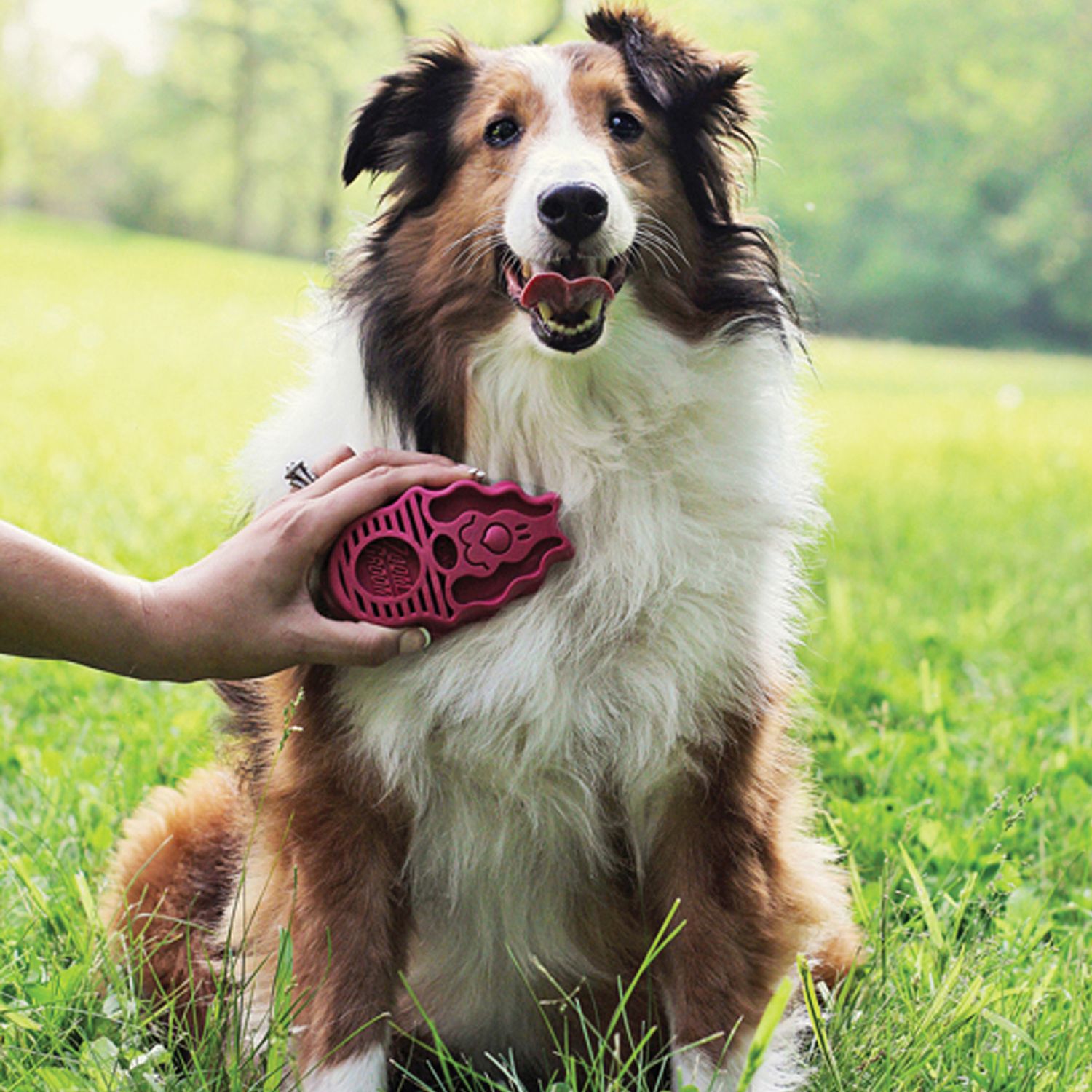 Kong Zoomgroom Raspberry Large