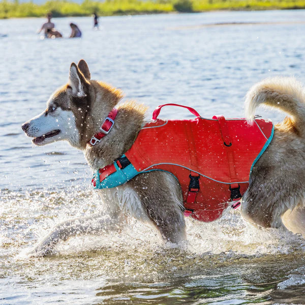 Kurgo Surf N Turf Dog Life Vest Large
