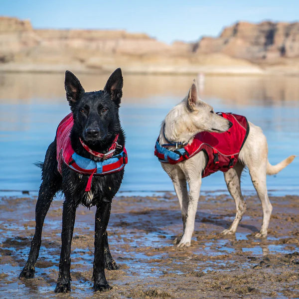 Kurgo Surf N Turf Dog Life Vest Large