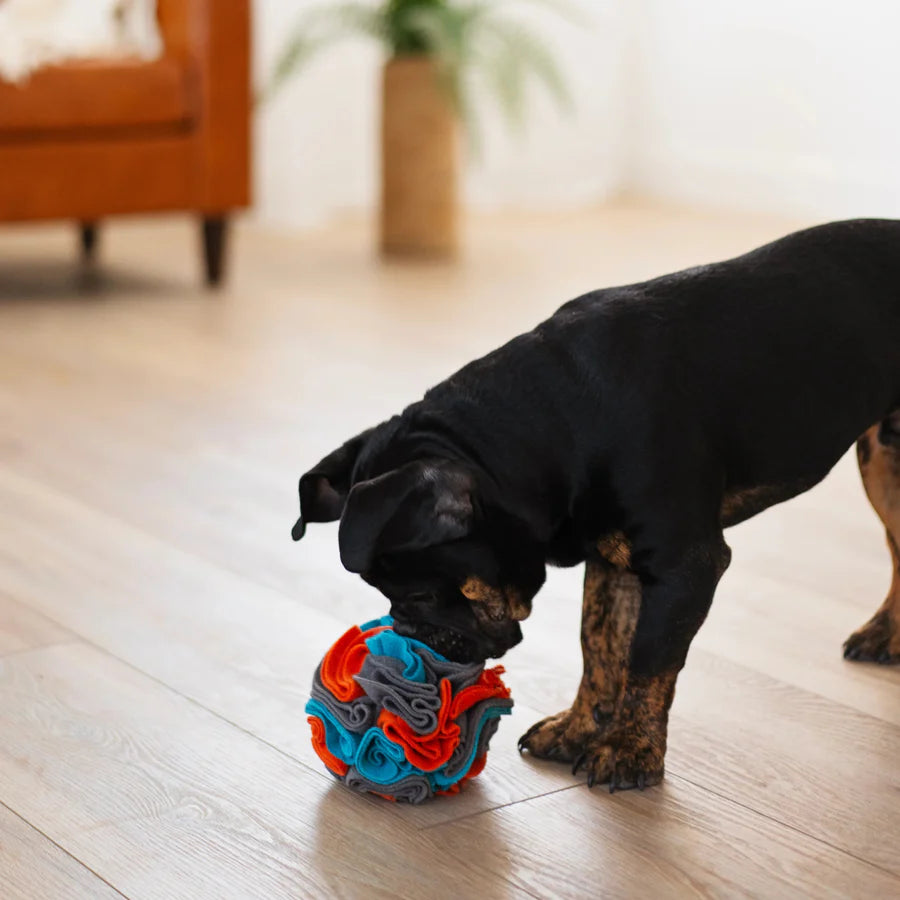 Messy Mutts Forage Ball