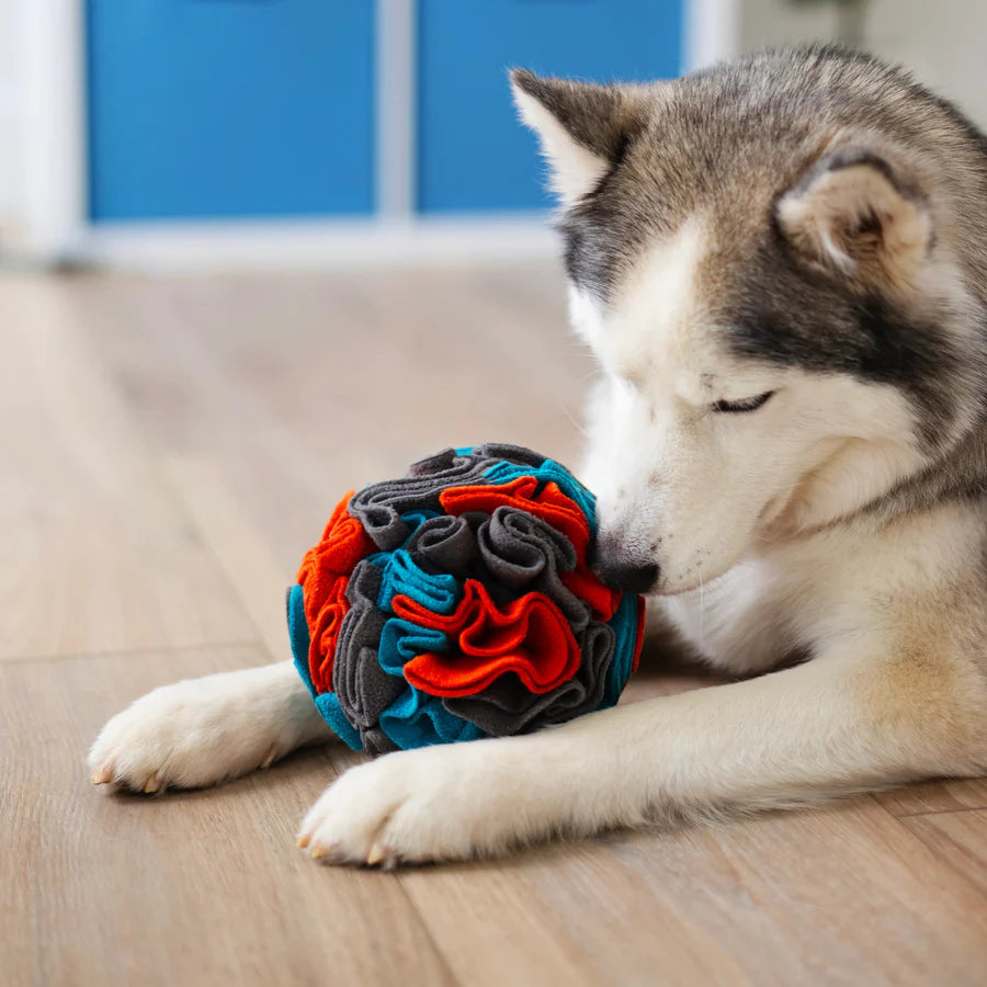 Messy Mutts Forage Ball
