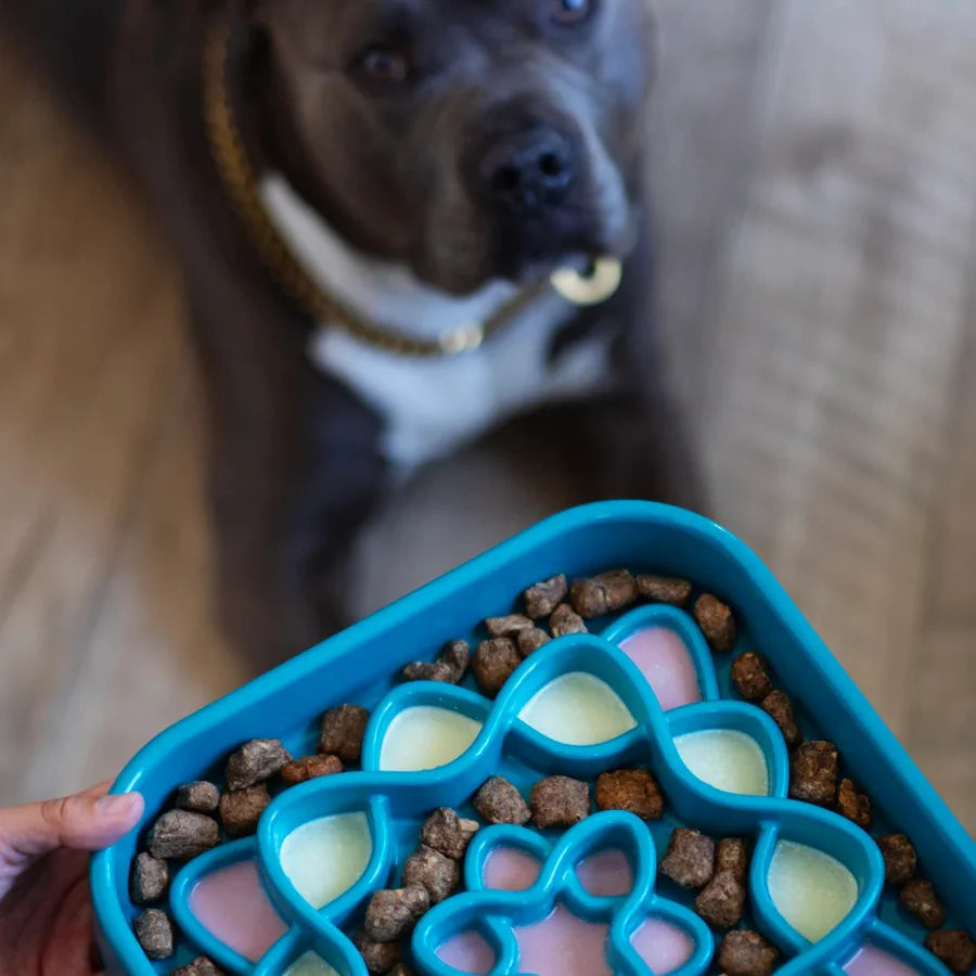 Messy Mutts Slow Feeder Blue Large