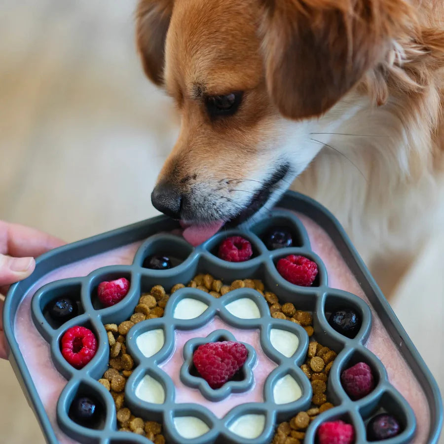 Messy Mutts Slow Feeder Square Blue Small