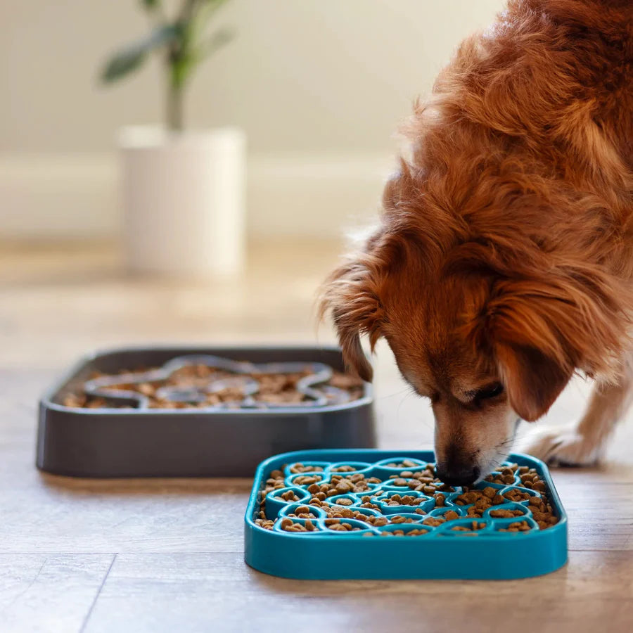 Messy Mutts Slow Feeder Square Blue Small