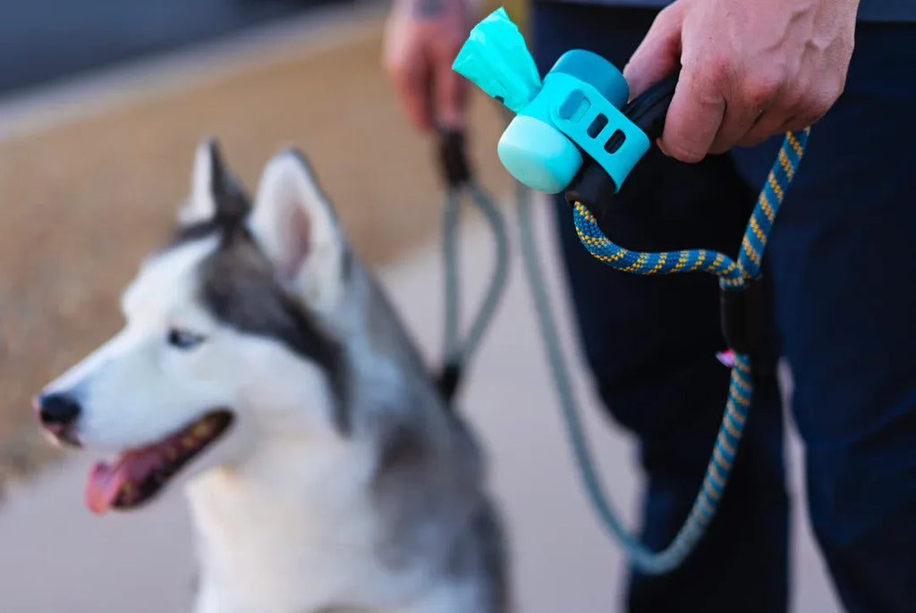 Messy Mutts Waste Bag Dispenser With Silicone Strap