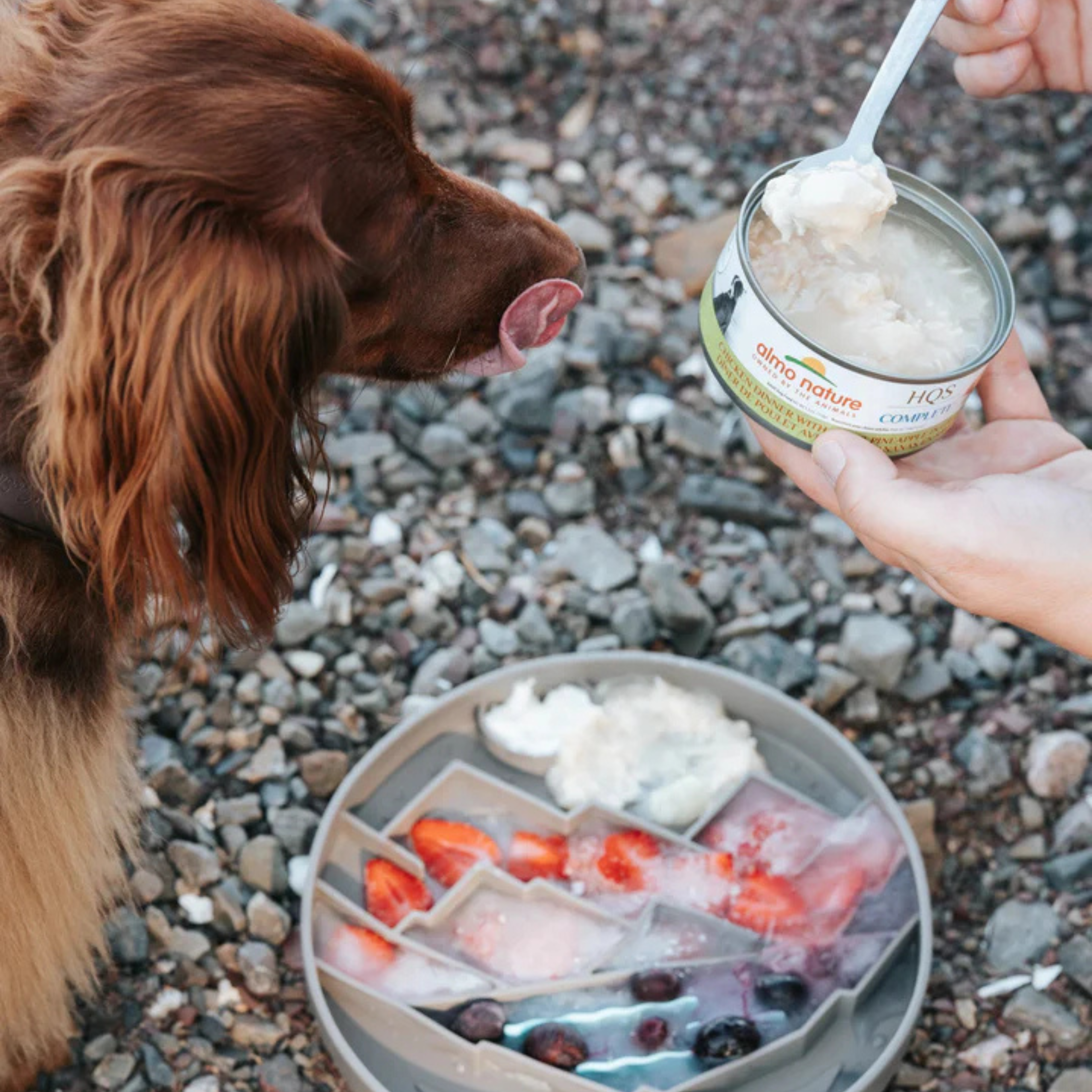 Messy Mutts Interactive Bowl Silicone Grey Mountain