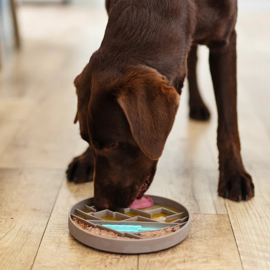 Messy Mutts Interactive Bowl Silicone Grey Mountain