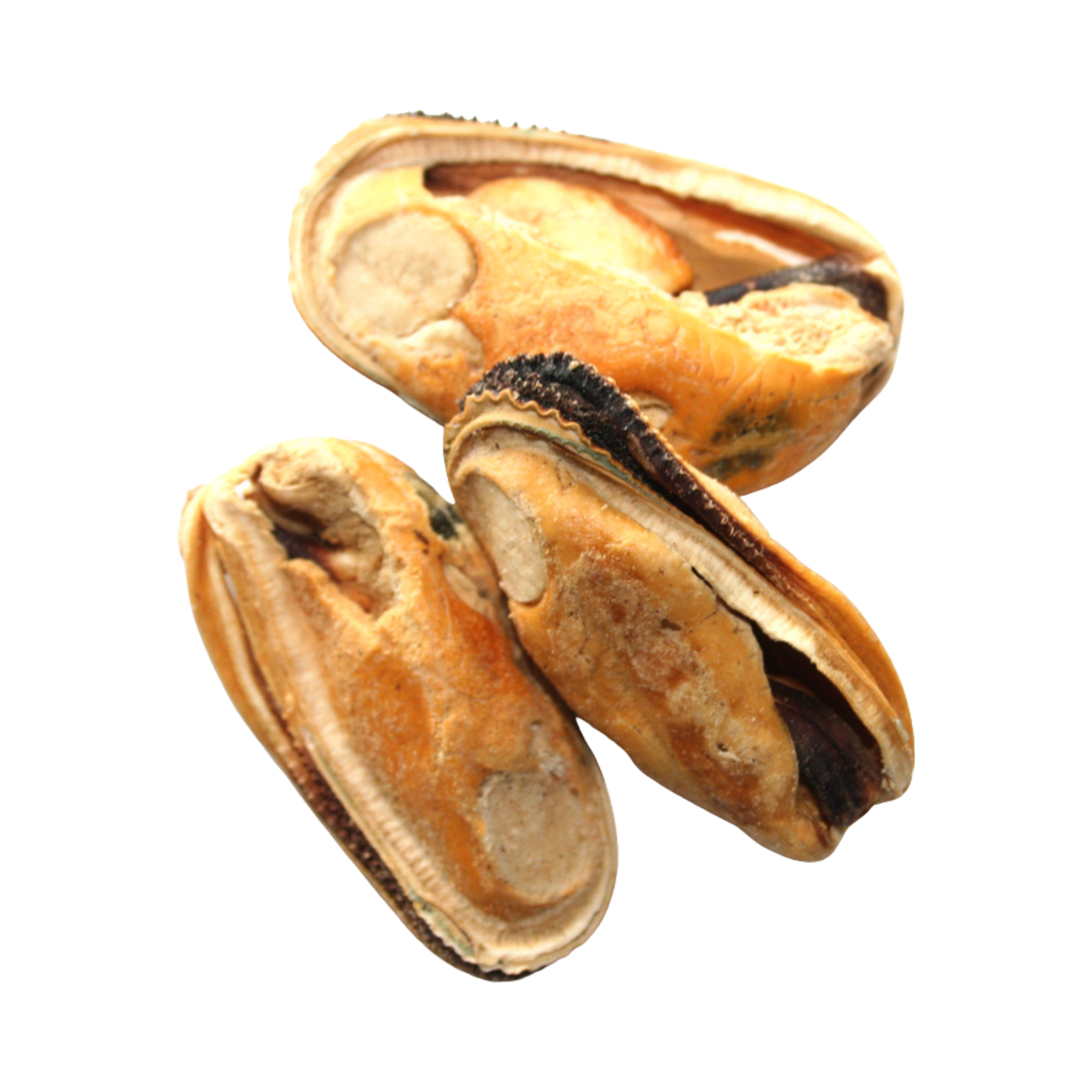 NZ Natural Pet Food Woof Green Mussell Treats 50g