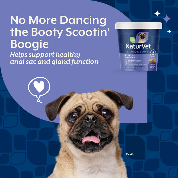 Naturvet Stool & Bowel No Scoot With Pumpkin Soft Chews 60ct 6.3oz/180g