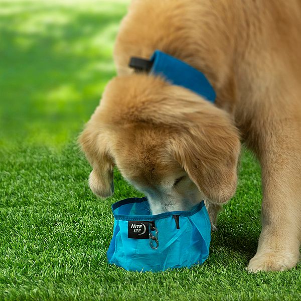 Nite Ize RadDog Collapsible Travel Bowl Blue