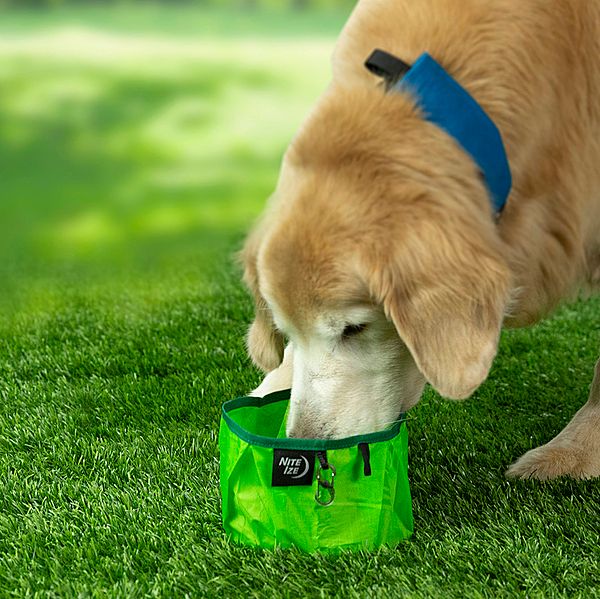 Nite Ize RadDog Collapsible Travel Bowl Green