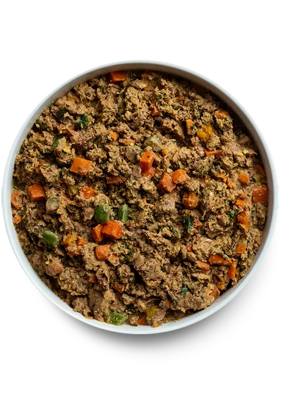 Open Farm Gently Cooked Grass-Fed Beef & Brown Rice Recipe 6Lb