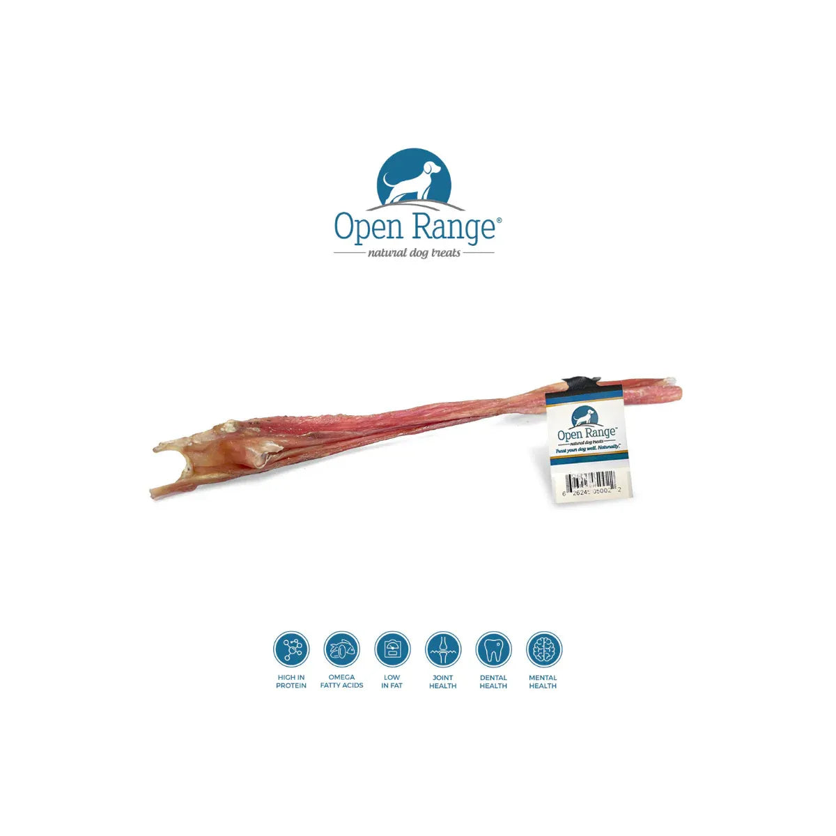 Open Range Bladder Stick 12"