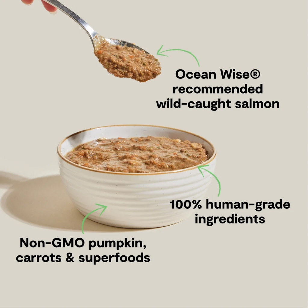 Open Farm Cat Wild-Caught Salmon Rustic Blend Pate 5.5oz
