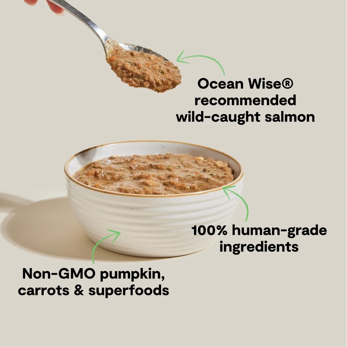 Open Farm Cat Wild-Caught Salmon Rustic Blend Pate 5.5oz