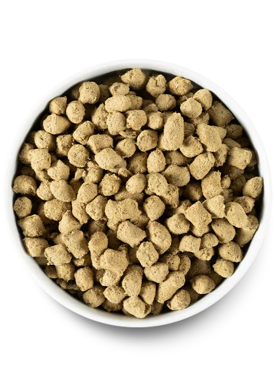 Open Farm Dog Freeze Dried Farmers Table Pork Morsels 22oz/624g