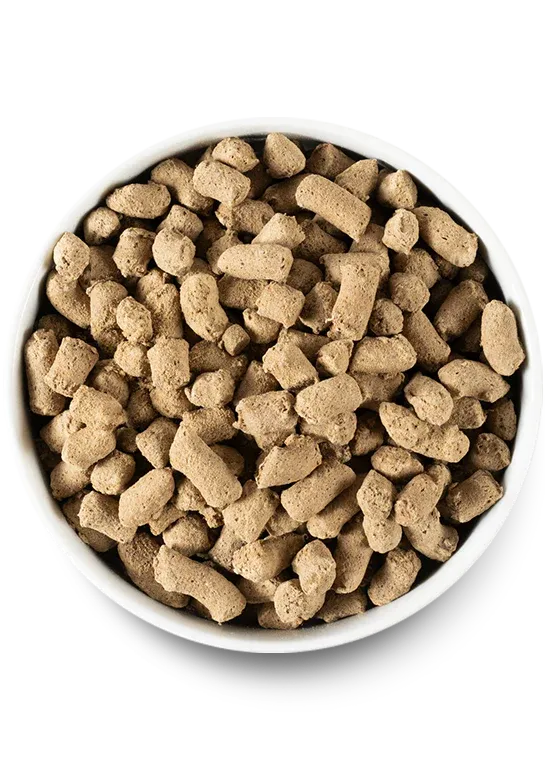 Open Farm Dog Freeze Dried Surf & Turf Morsels 22oz/624g