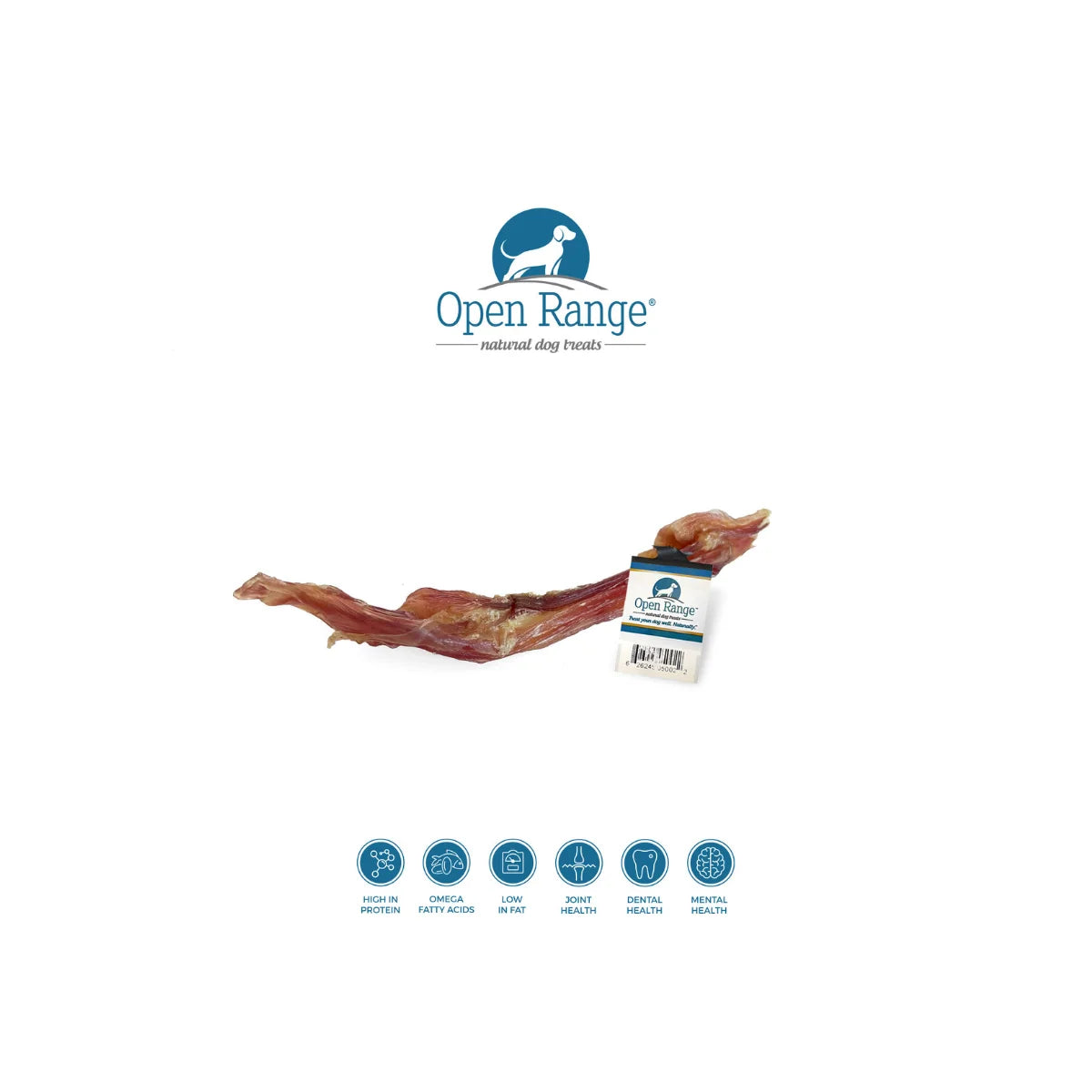 Open Range Beef Tendon 8"-11"