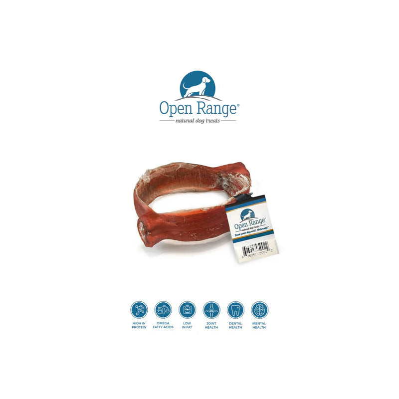 Open Range Bully Ring