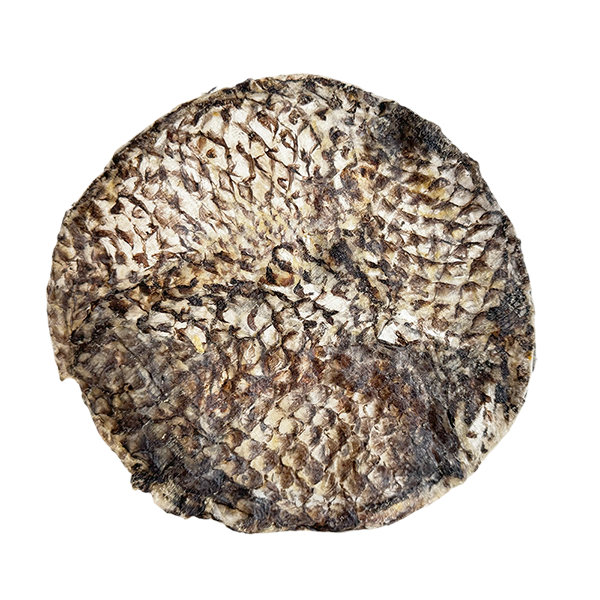 Open Range Furs-Bee Tilapia Skin