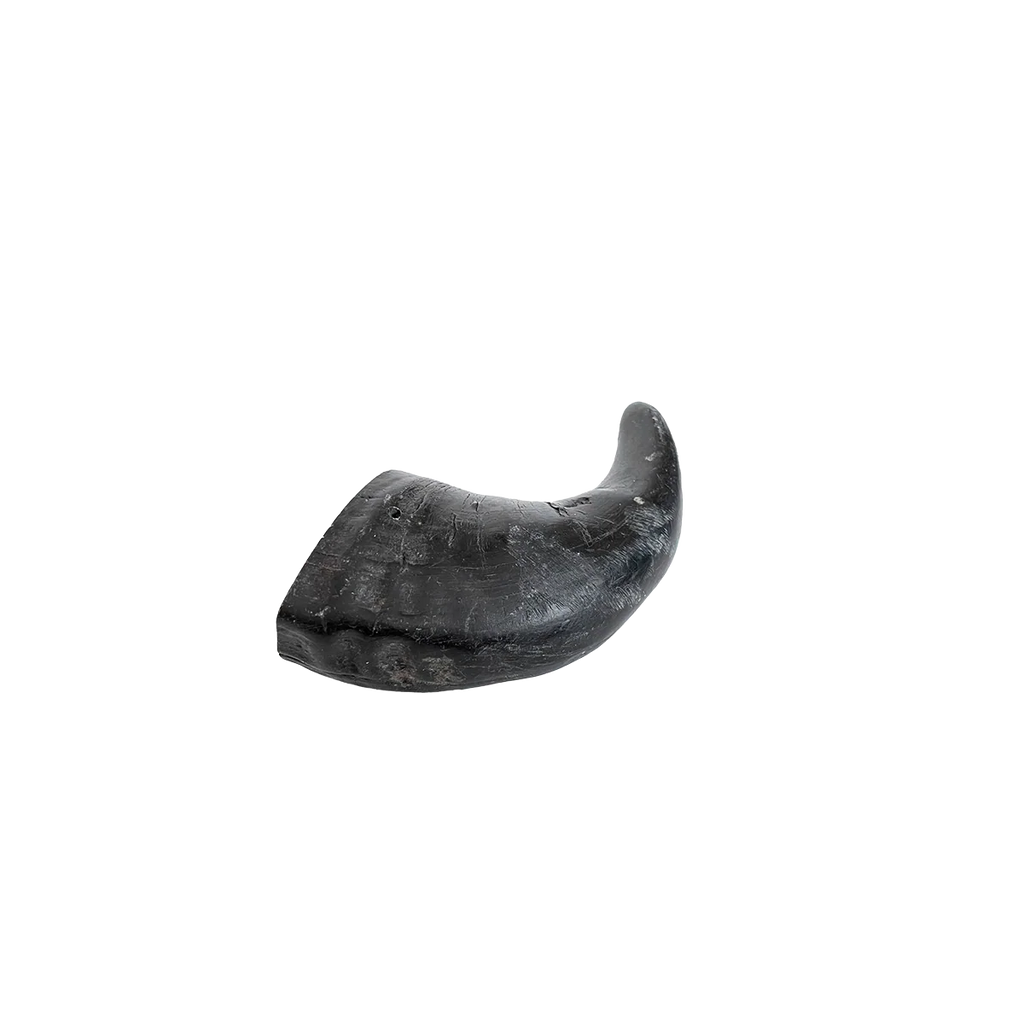 Open Range Water Buffalo Horn Small
