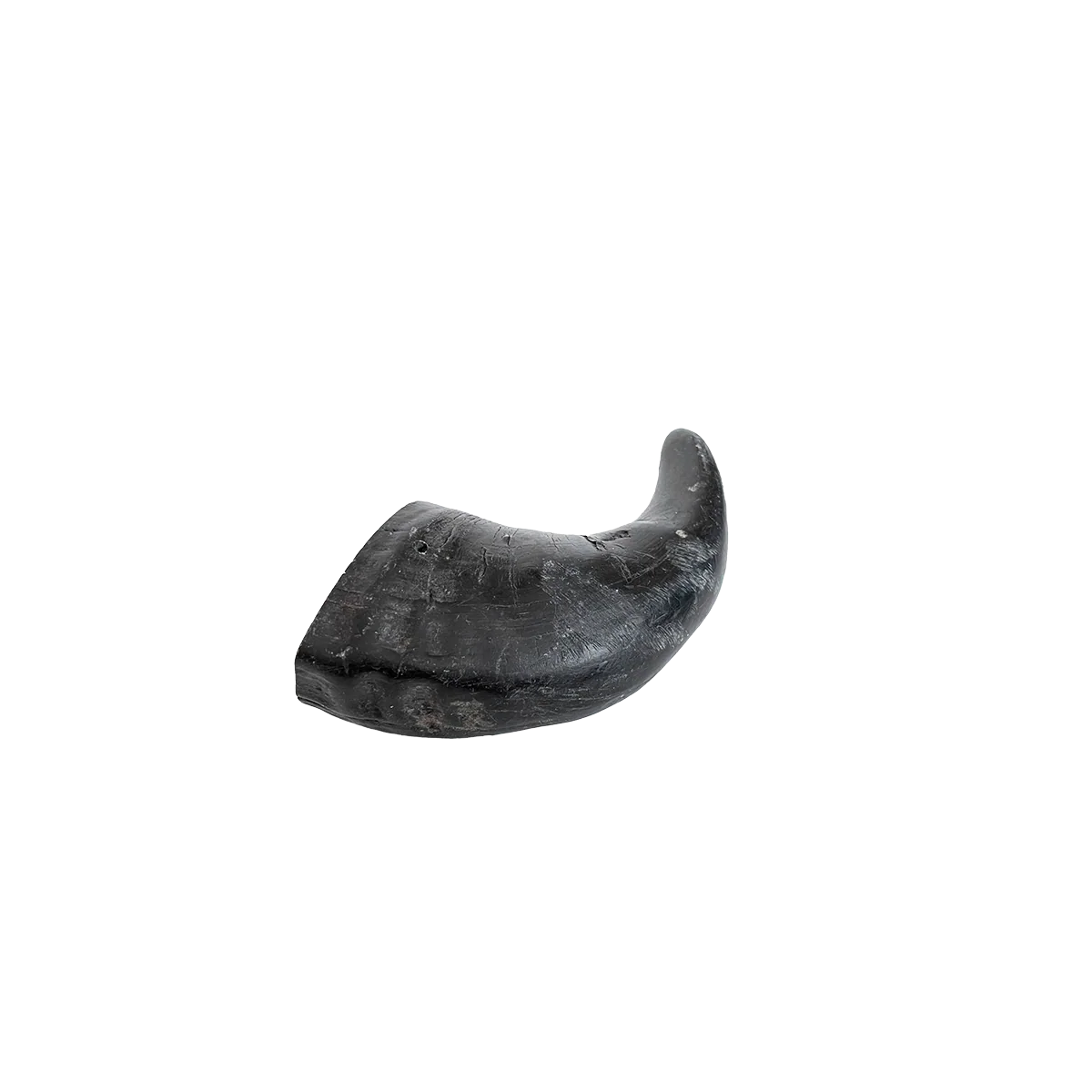 Open Range Water Buffalo Horn Small