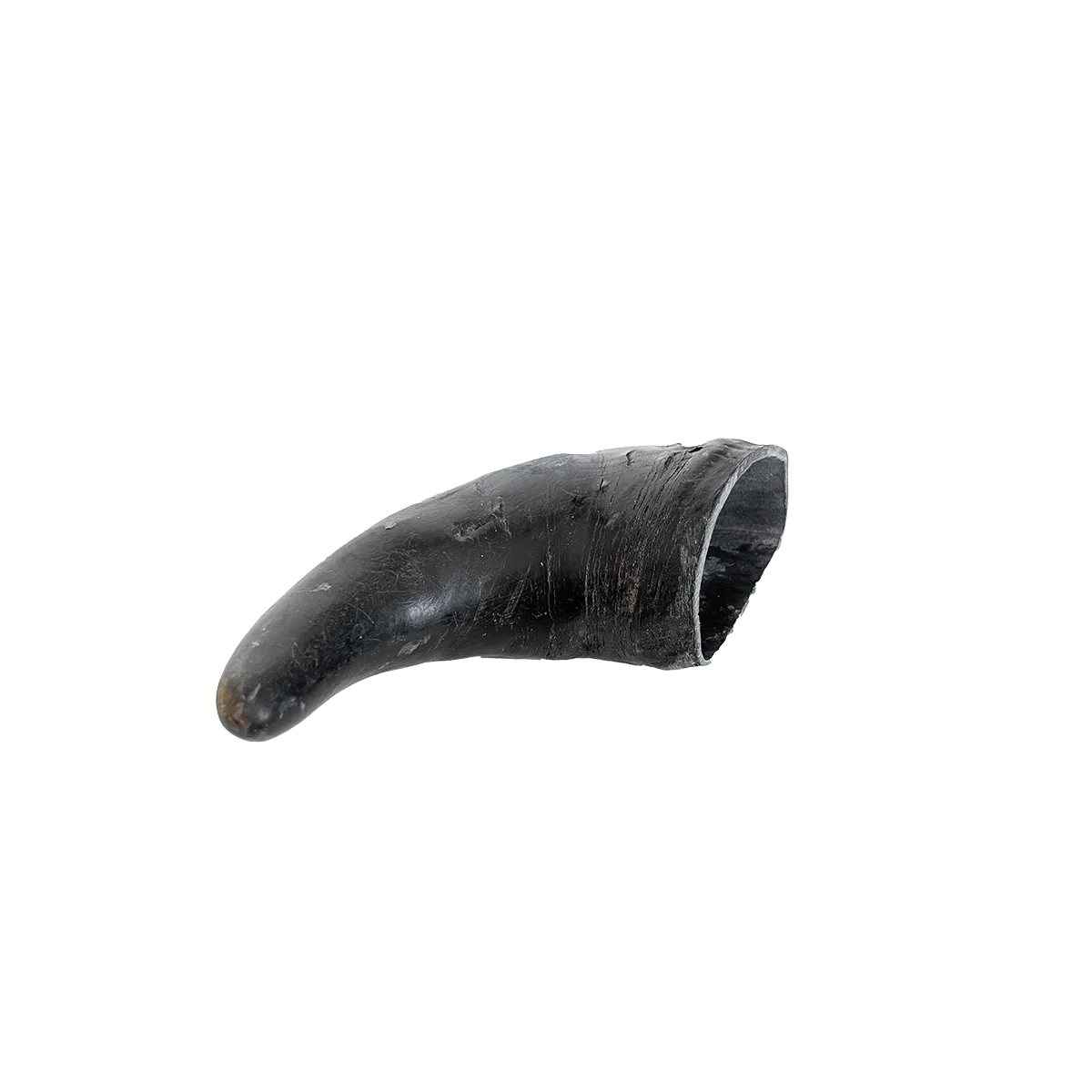 Open Range Water Buffalo Horn Small