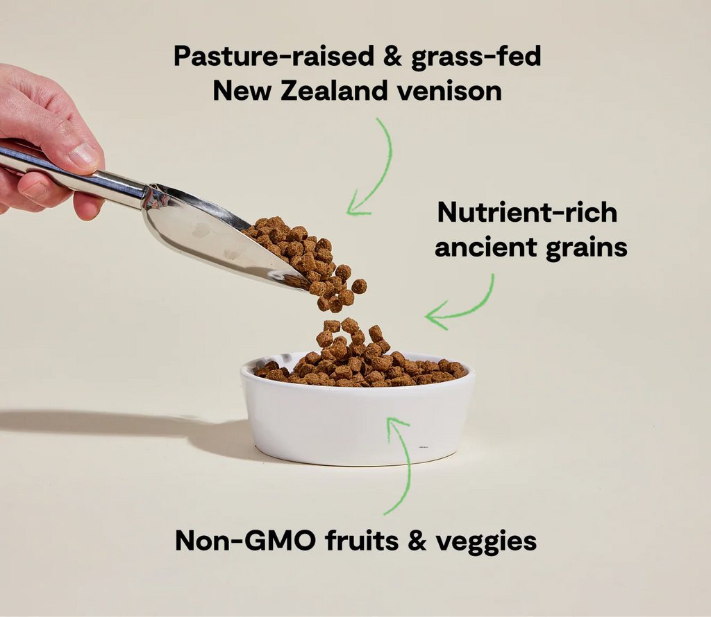 Open Farm Dog Ancient Grain New Zealand Venison 4lb