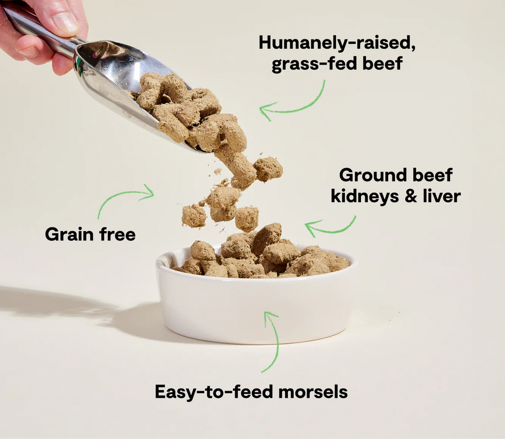 Open Farm Dog Freeze Dried Grass Fed Beef Morsels 22oz/624g