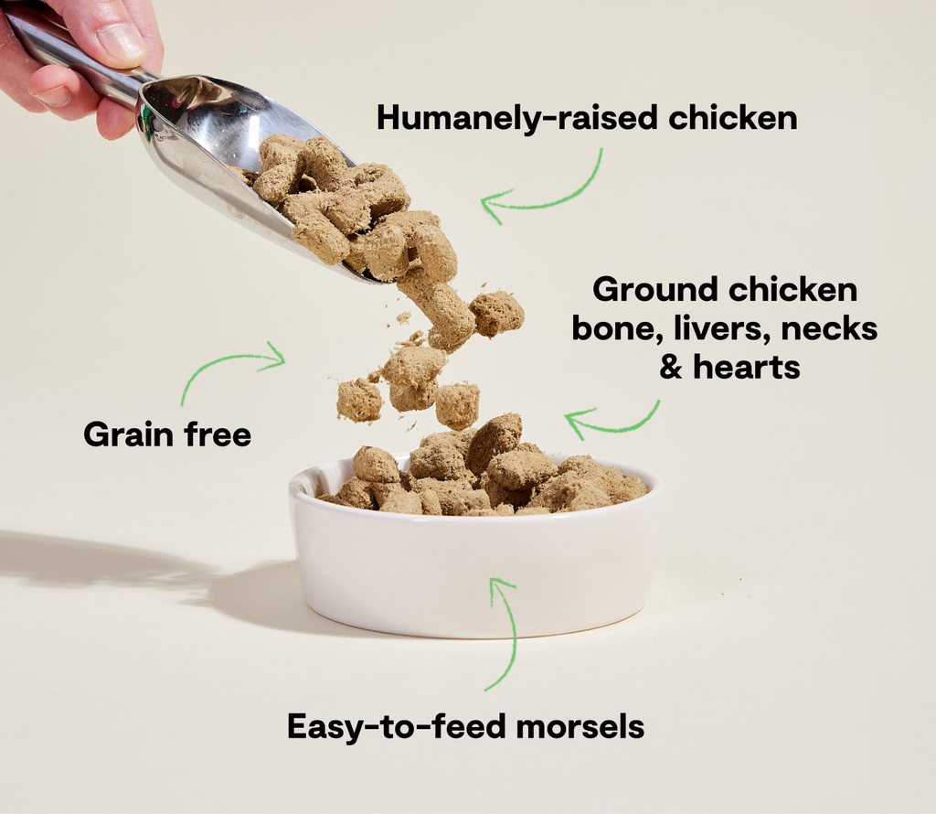Open Farm Dog Freeze Dried Harvest Chicken Morsels 13.5Oz/383G