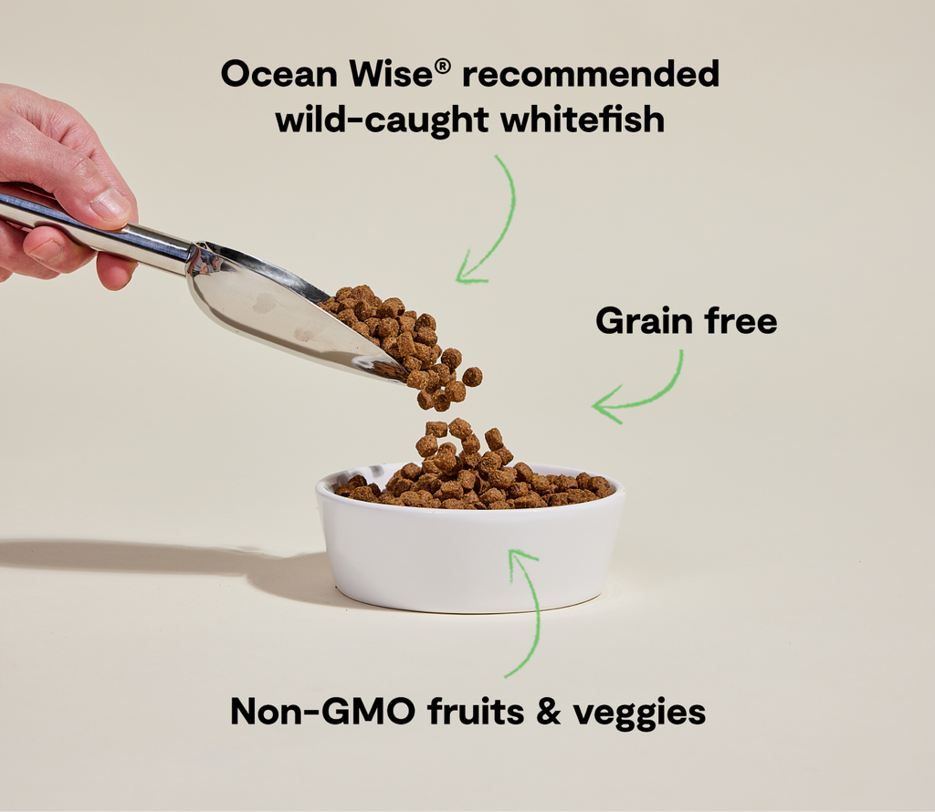 Open Farm Dog Grain Free Whitefish 4Lb/1.8Kg