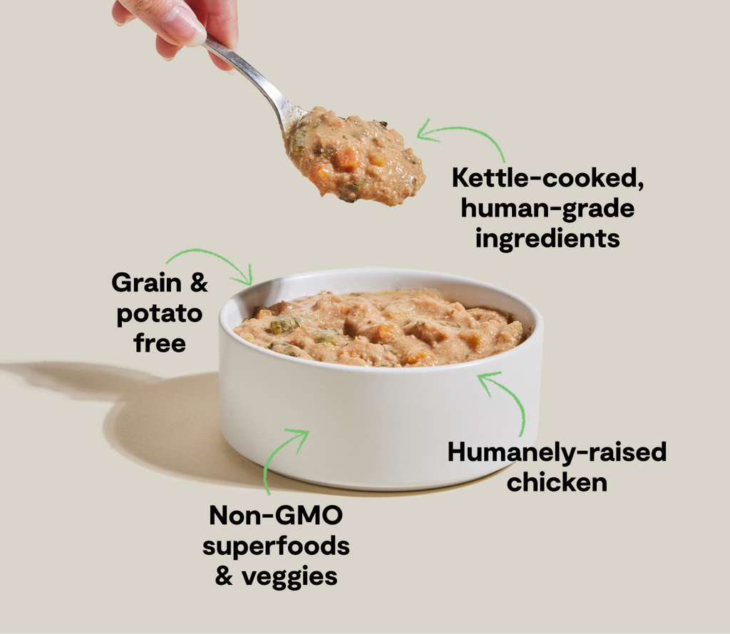 Open Farm Dog Harvest Chicken Rustic Stew 12.5Oz/354G