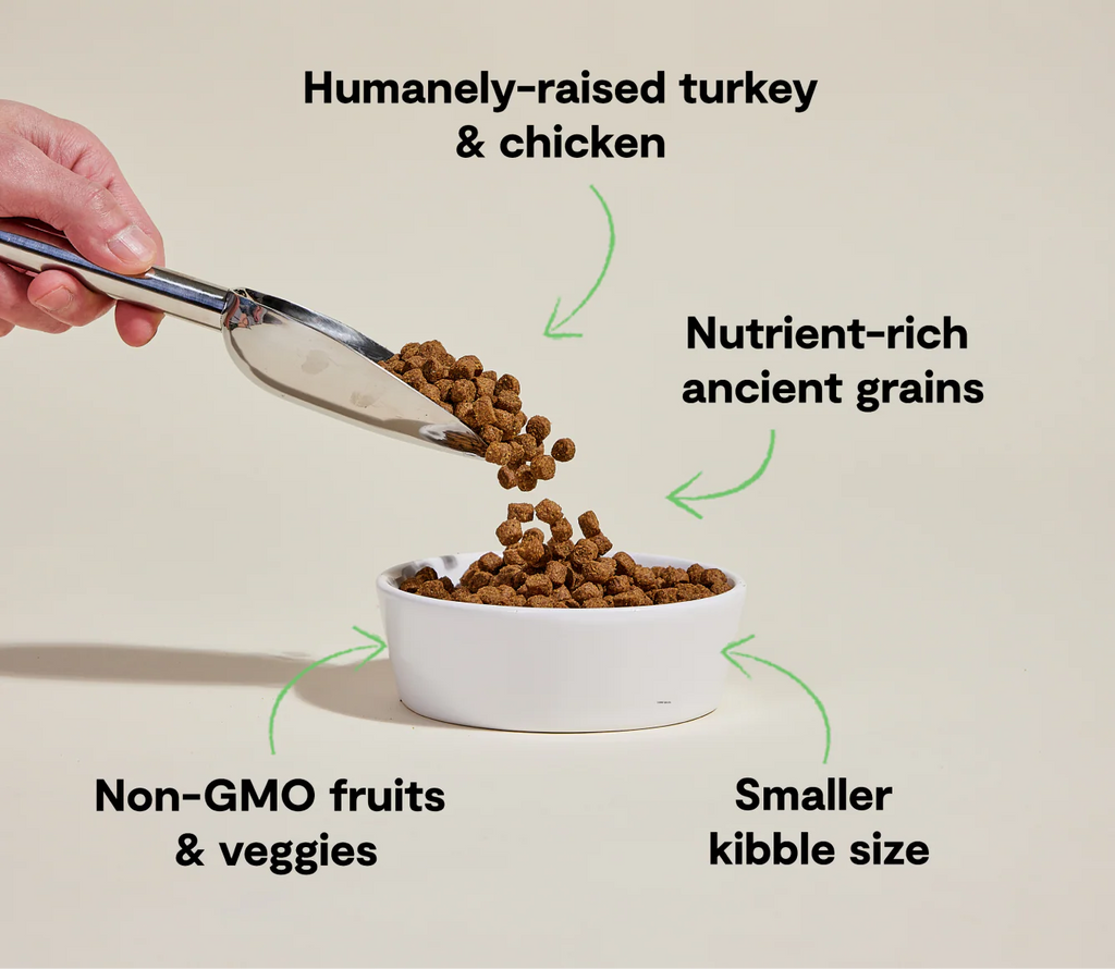 Open Farm Dog Ancient Grain Small Breed Chicken & Turkey 11Lb/5Kg