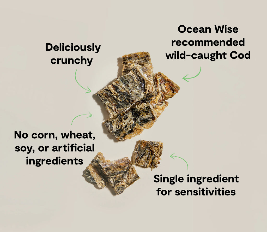 Open Farm Dog Treats Dehydrated Cod Skins 2.25oz