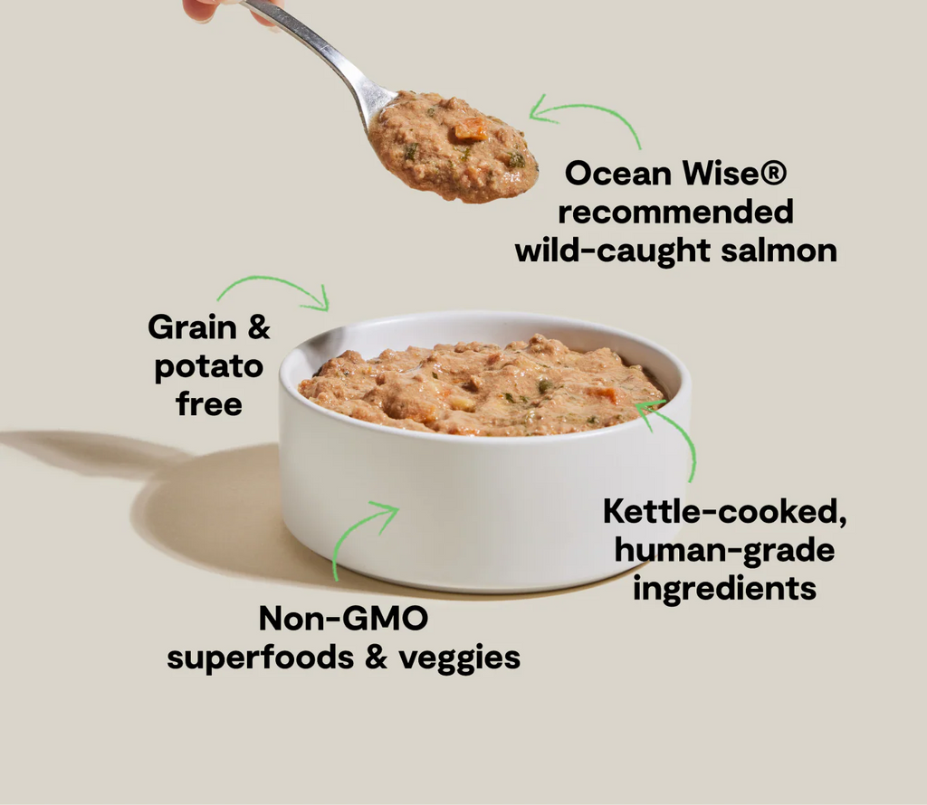 Open Farm Dog Wild Caught Salmon Rustic Stew 12.5Oz/354G