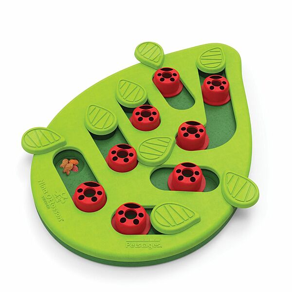 Outward Hound Catstages Puzzle & Play Buggin Out Green