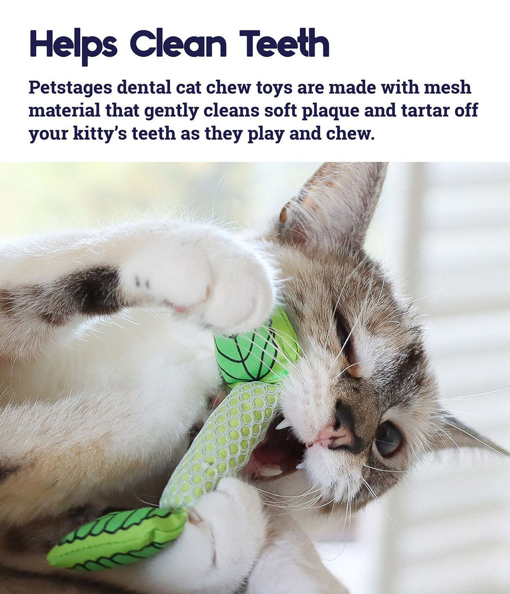 Outward Hound Catstages Fresh Breath Mint Stick Toy
