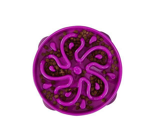 Outward Hound Fun Feeder Slo-Bowl Flower Purple Large