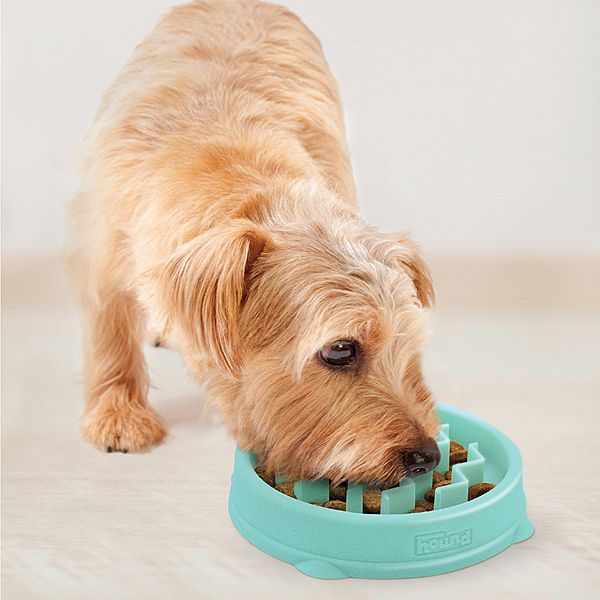 Outward Hound Fun Feeder Slo-Bowl Mint Small