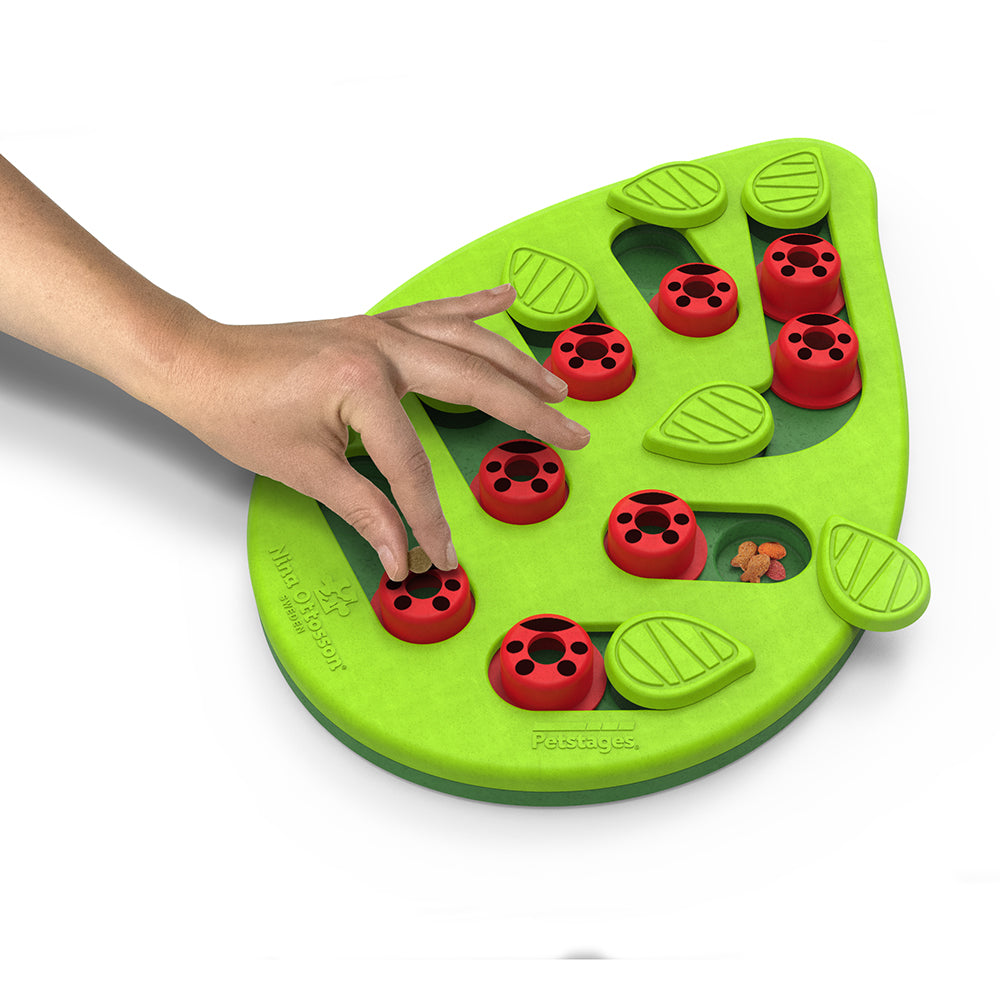Outward Hound Catstages Puzzle & Play Buggin Out Green