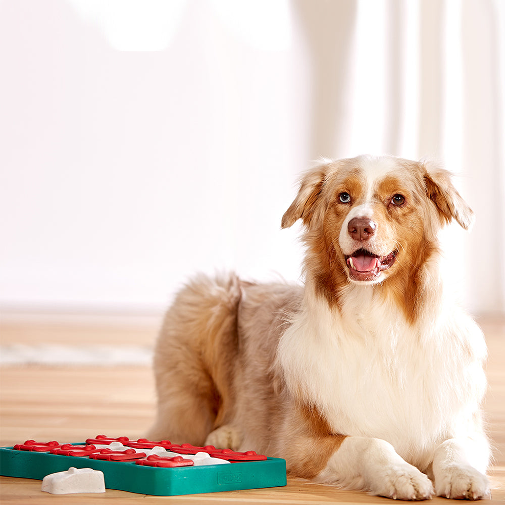 Outward Hound Dog Brick Puzzle
