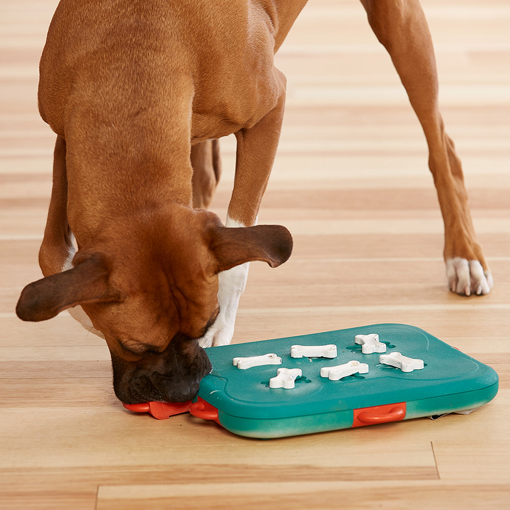 Outward Hound Dog Casino Puzzle