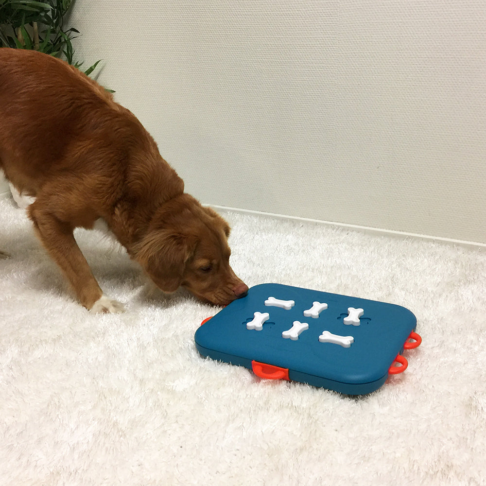 Outward Hound Dog Casino Puzzle