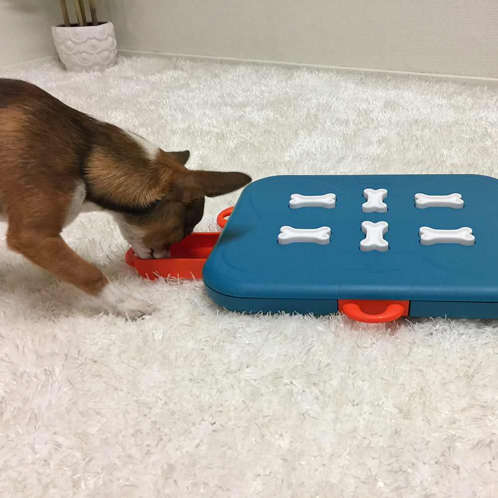 Outward Hound Dog Casino Puzzle