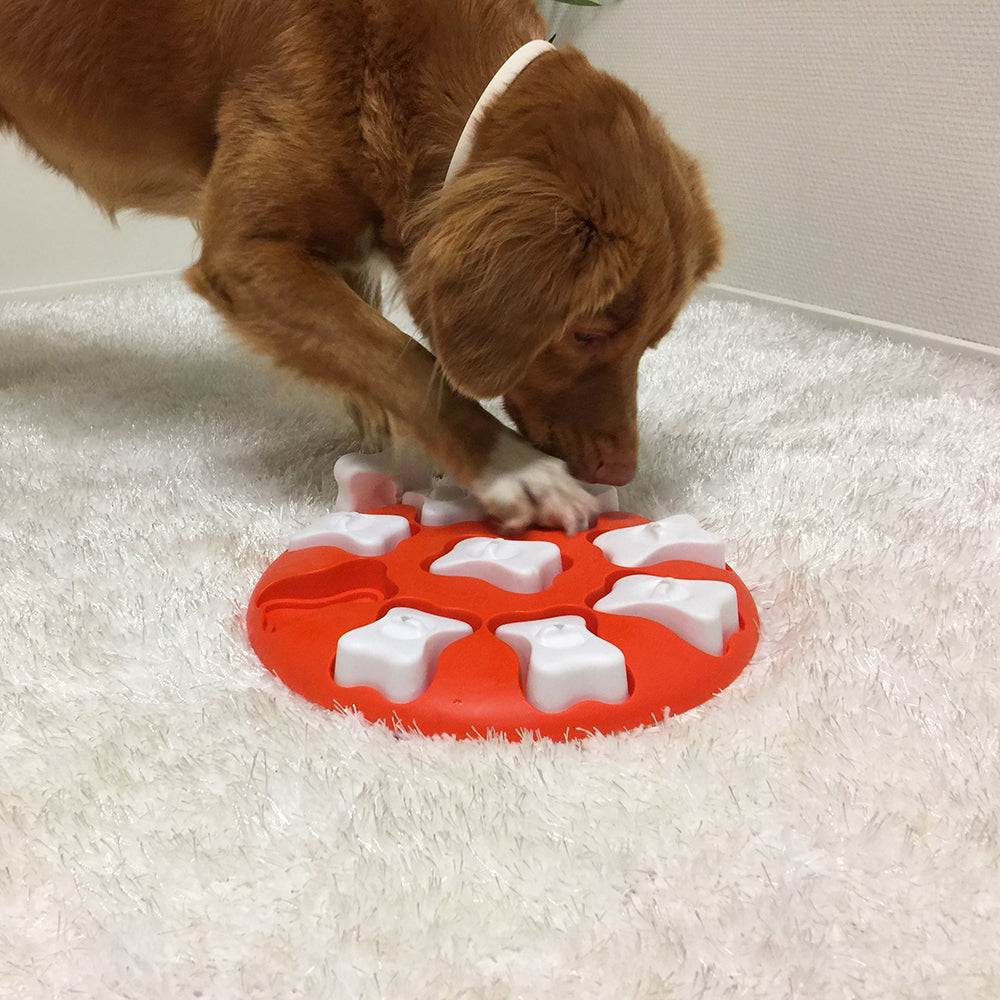 Outward Hound Dog Smart Puzzle Orange