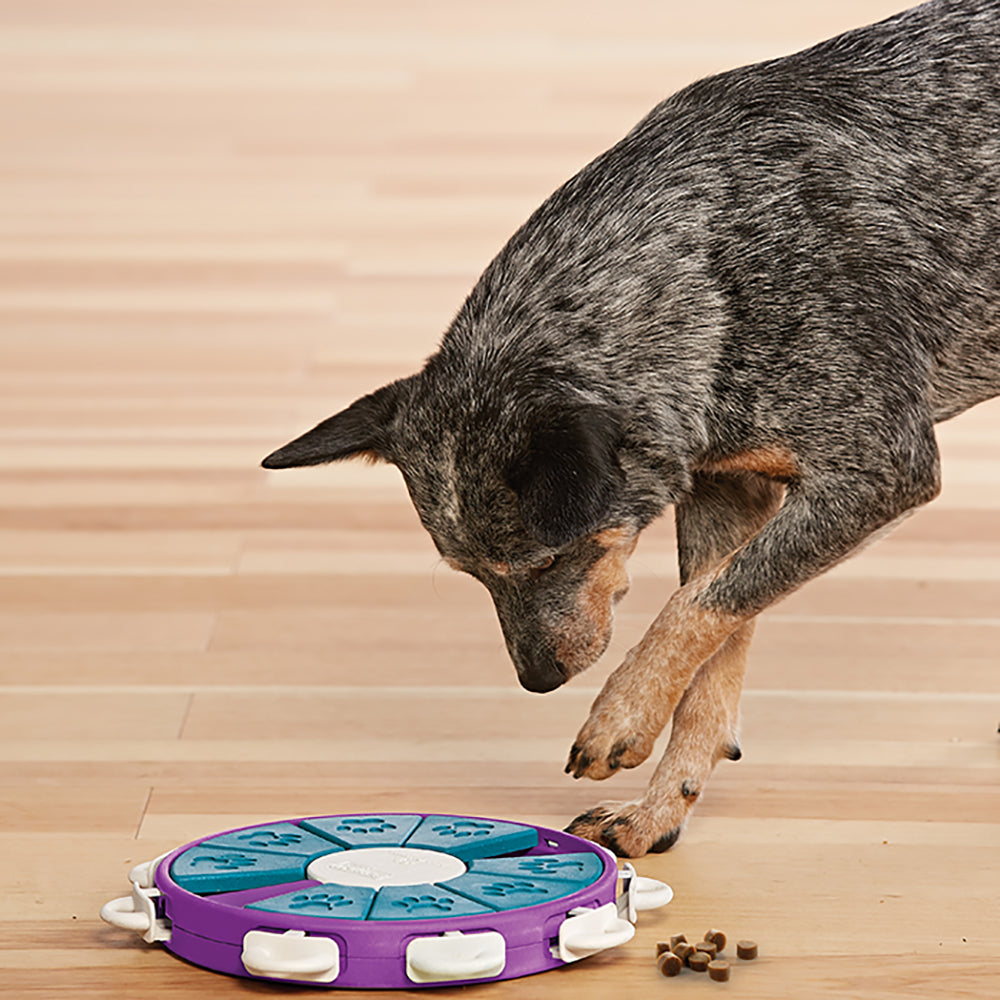 Outward Hound Dog Twister Puzzle