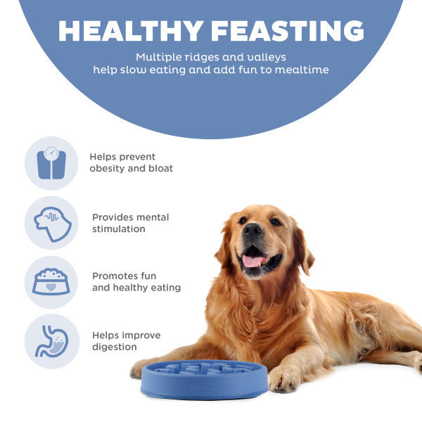 Outward Hound Fun Feeder Slo-Bowl Blue Medium